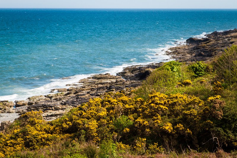 Tollymore Forest Park Newcastle Co Down (19).jpg